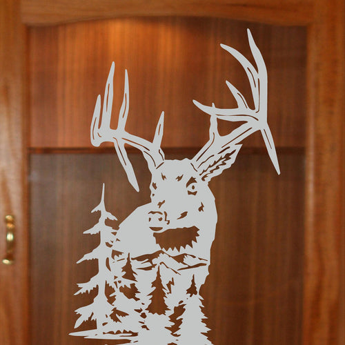 Etched Glass