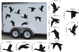 Flying Duck Trailer Decals WFD101 - 9 flying duck silhouettes on an enclosed trailer with measurements - Sticker Chef