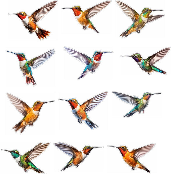 Hummingbird Window Clings - Bird Safety Decals for Sliding Glass Doors - Set of 12