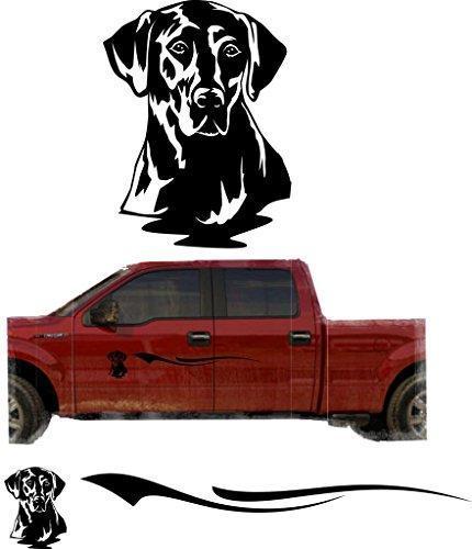 INDIGOS UG - Adesivo per auto JDM Die Hart, Alen, Roswell INDIGOS UG - Adesivo per auto JDM Die Hart, Alen, Roswell