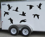 Duck Hunting Waterfowl Hunters Trailer Truck Decals 9 Duck Set