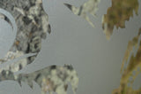 Ocean Yellow Tuna Fish Decals Etched Glass Vinyl Shower Door Window StickerChef SC07