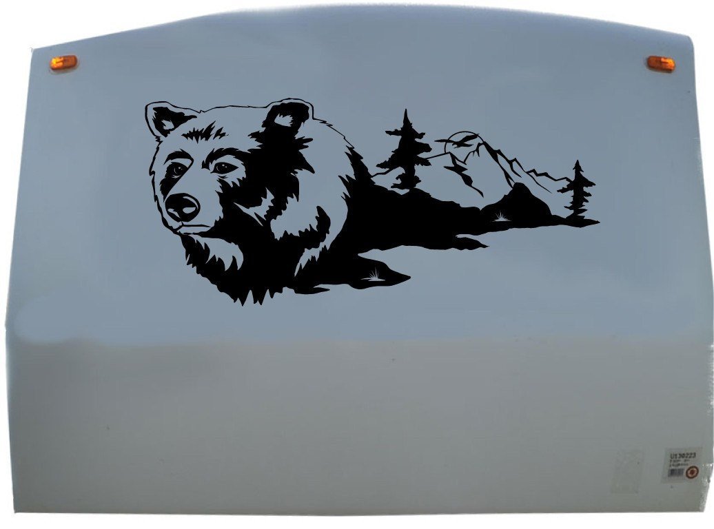 Bear decal deals