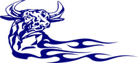Bull Flame Decal Auto Truck Boat Stickers AF06